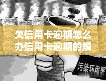 欠信用卡逾期怎么办信用卡逾期的解决办法