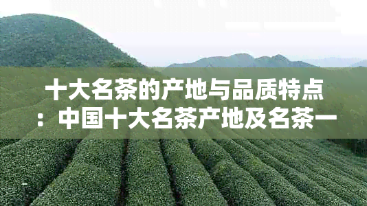 十大名茶的产地与品质特点：中国十大名茶产地及名茶一览