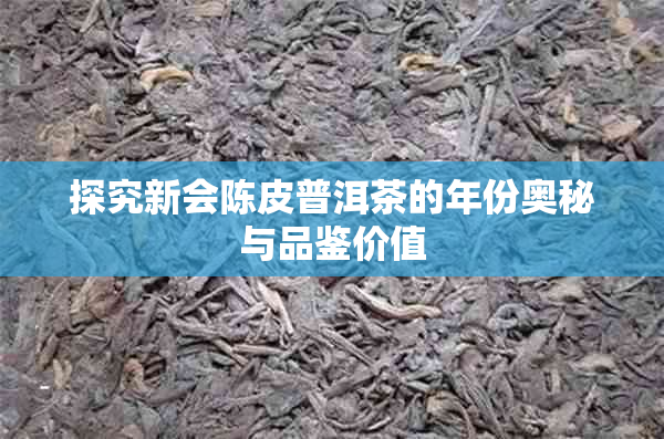 探究新会陈皮普洱茶的年份奥秘与品鉴价值