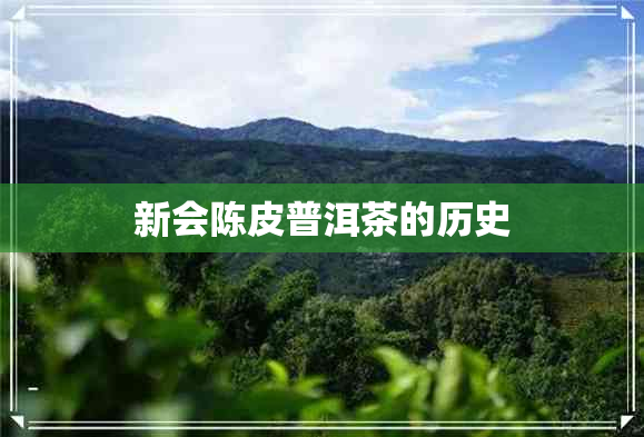 新会陈皮普洱茶的历史 新会陈皮普洱茶的历史