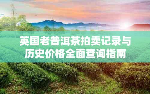 英国老普洱茶拍卖记录与历史价格全面查询指南