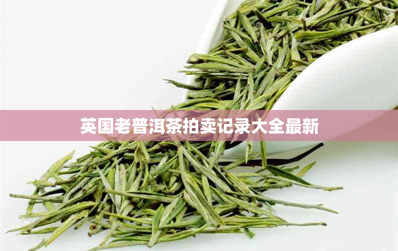 英国老普洱茶拍卖记录大全最新