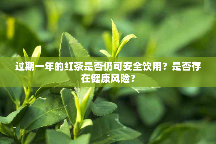 过期一年的红茶是否仍可安全饮用?是否存在健康风险?