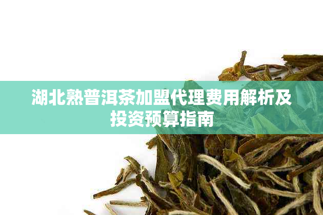 湖北熟普洱茶加盟代理费用解析及投资预算指南