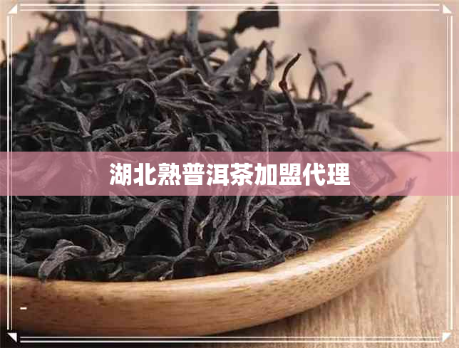 湖北熟普洱茶加盟代理 湖北熟普洱茶加盟代理
