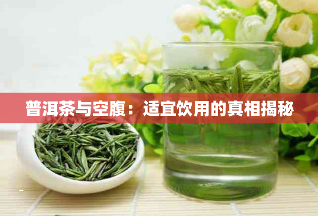 普洱茶与空腹:适宜饮用的真相揭秘