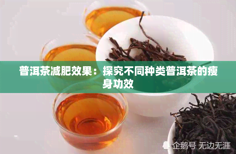 普洱茶减肥效果:探究不同种类普洱茶的瘦身功效