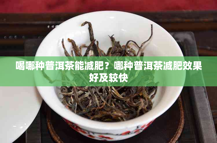 喝哪种普洱茶能减肥?哪种普洱茶减肥效果好及较快