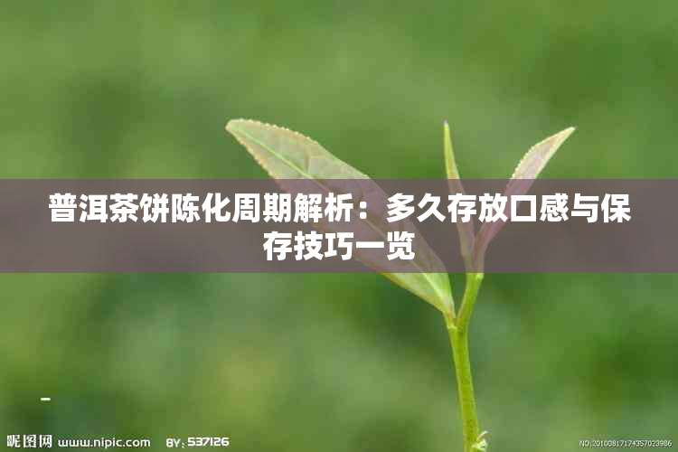 普洱茶饼陈化周期解析:多久存放口感与保存技巧一览