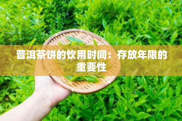 普洱茶饼的饮用时间:存放年限的重要性