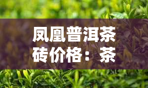 凤凰普洱茶砖价格:茶砖、沱茶全面一览