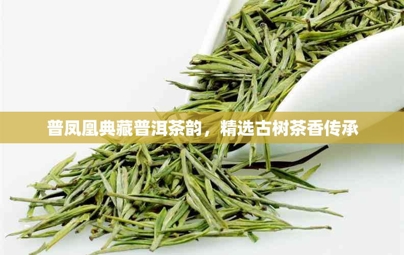 普凤凰典藏普洱茶韵,精选古树茶香传承