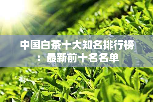中国白茶十大知名排行榜:最新前十名名单