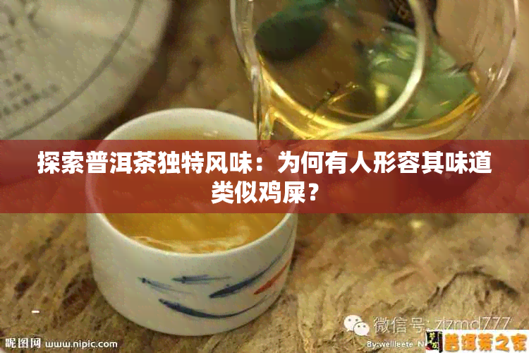 探索普洱茶独特风味:为何有人形容其味道类似鸡屎?