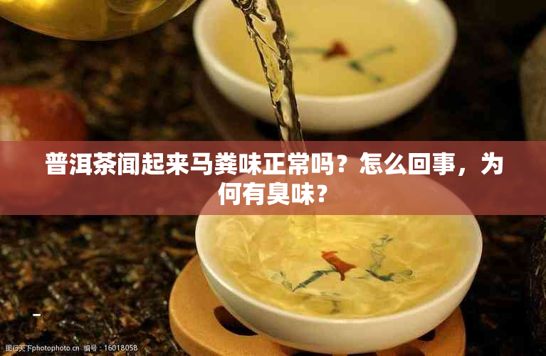 普洱茶闻起来马粪味正常吗?怎么回事,为何有臭味?
