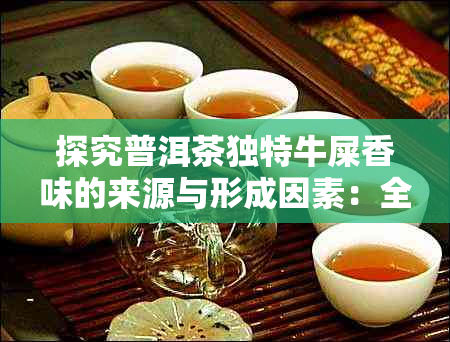探究普洱茶独特牛屎香味的来源与形成因素:全面解析普洱茶的风味特点