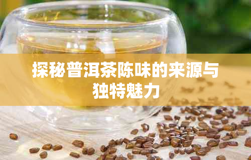 探秘普洱茶陈味的来源与独特魅力