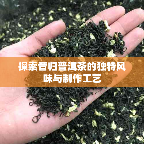 探索昔归普洱茶的独特风味与制作工艺