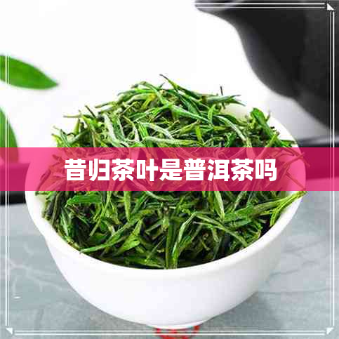 昔归茶叶是普洱茶吗 昔归茶叶是普洱茶吗