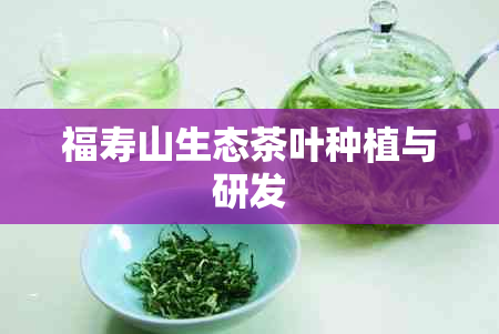 福寿山生态茶叶种植与研发