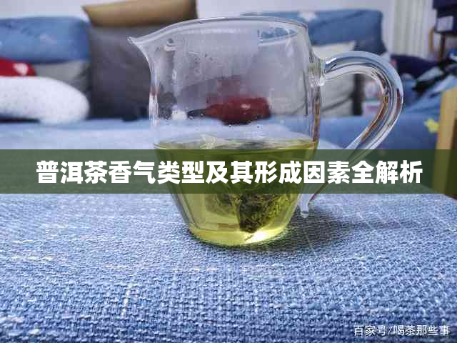 普洱茶香气类型及其形成因素全解析