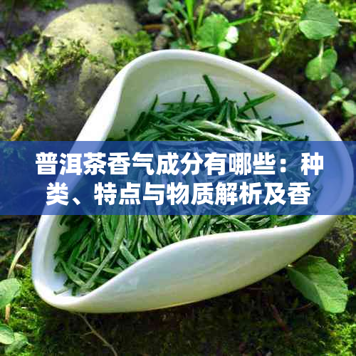 普洱茶香气成分有哪些:种类、特点与物质解析及香气特色