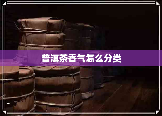 普洱茶香气怎么分类 普洱茶香气怎么分类