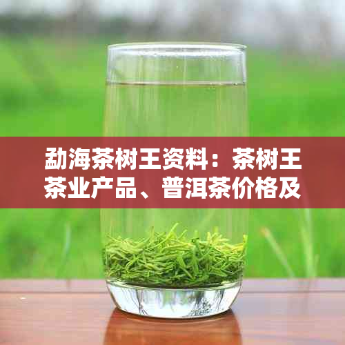 勐海茶树王资料:茶树王茶业产品、普洱茶价格及评价