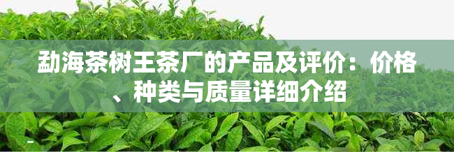 勐海茶树王茶厂的产品及评价:价格、种类与质量详细介绍