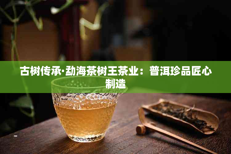 古树传承·勐海茶树王茶业:普洱珍品匠心制造