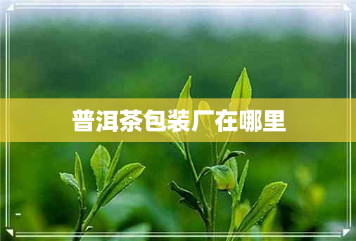 普洱茶包装厂在哪里 普洱茶包装厂在哪里