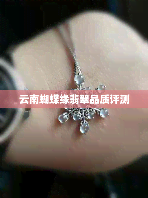 云南蝴蝶缘翡翠品质评测