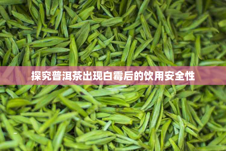 探究普洱茶出现白霉后的饮用安全性