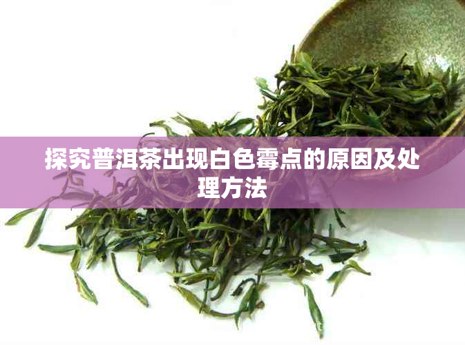 探究普洱茶出现白色霉点的原因及处理方法