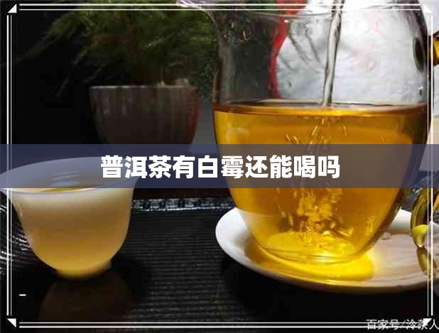 普洱茶有白霉还能喝吗 普洱茶有白霉还能喝吗