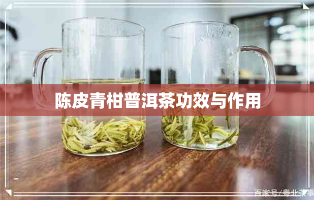 陈皮青柑普洱茶功效与作用 陈皮青柑普洱茶功效与作用