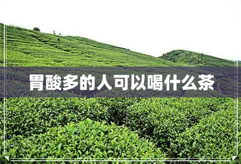 胃酸多的人可以喝什么茶 胃酸多的人可以喝什么茶