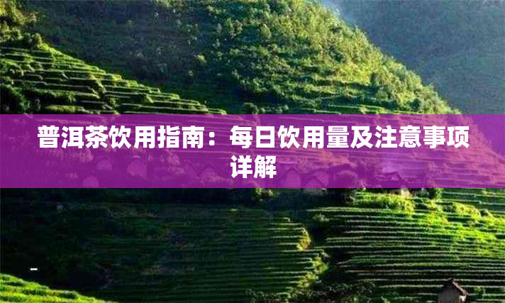 普洱茶饮用指南:每日饮用量及注意事项详解