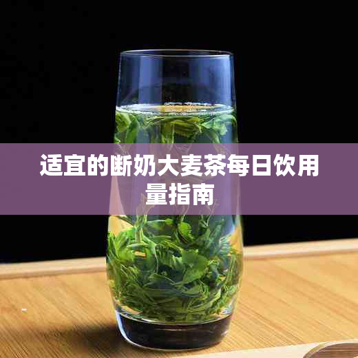 适宜的断奶大麦茶每日饮用量指南