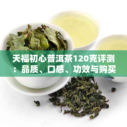 天福初心普洱茶120克评测:品质、口感、功效与购买指南