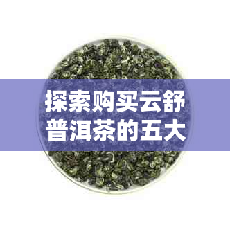 探索购买云舒普洱茶的五大理由