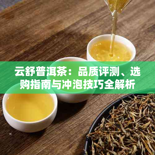 云舒普洱茶:品质评测、选购指南与冲泡技巧全解析