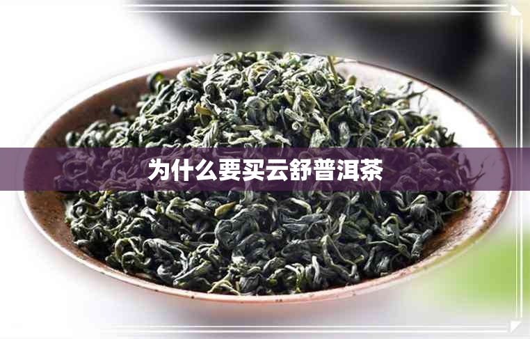 为什么要买云舒普洱茶 为什么要买云舒普洱茶