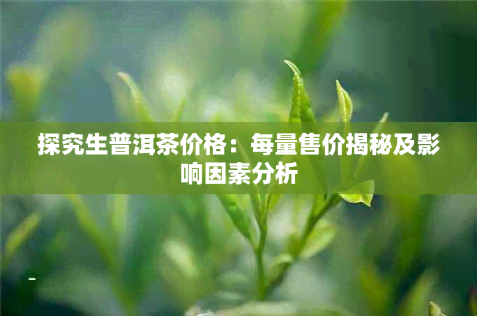 探究生普洱茶价格：每量售价揭秘及影响因素分析