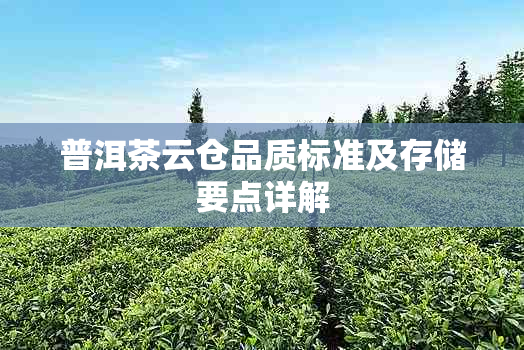 普洱茶云仓品质标准及存储要点详解