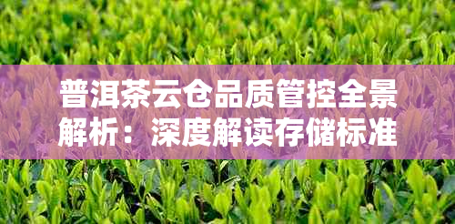 普洱茶云仓品质管控全景解析:深度解读存储标准与选购指南