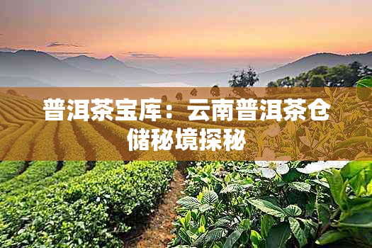 普洱茶宝库:云南普洱茶仓储秘境探秘