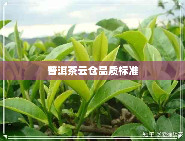 普洱茶云仓品质标准 普洱茶云仓品质标准