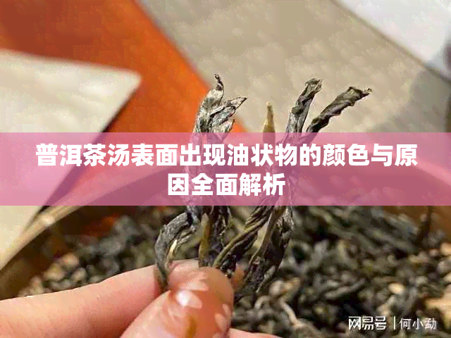 普洱茶汤表面出现油状物的颜色与原因全面解析