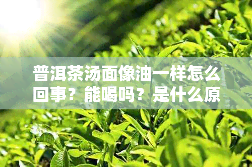 普洱茶汤面像油一样怎么回事?能喝吗?是什么原因?颜色特征